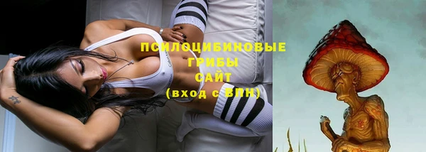 ECSTASY Инсар