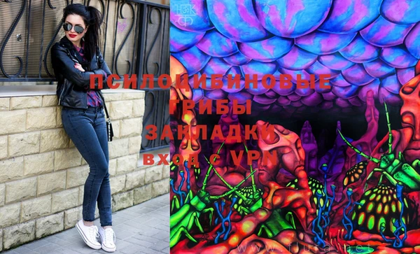 ECSTASY Инсар