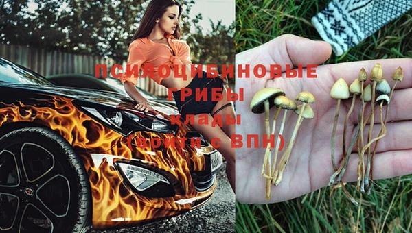 синтетический гашиш Инта