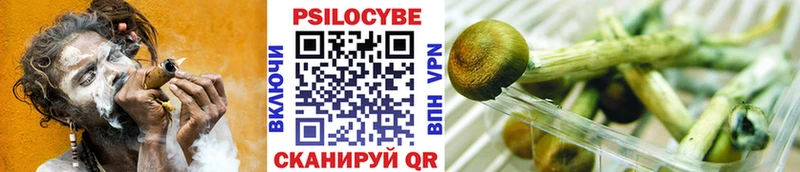 Галлюциногенные грибы Cubensis  Купить  Дедовск 